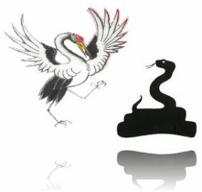 Illustration of a white crane and a black snake, classic animal styles in Kung Fu